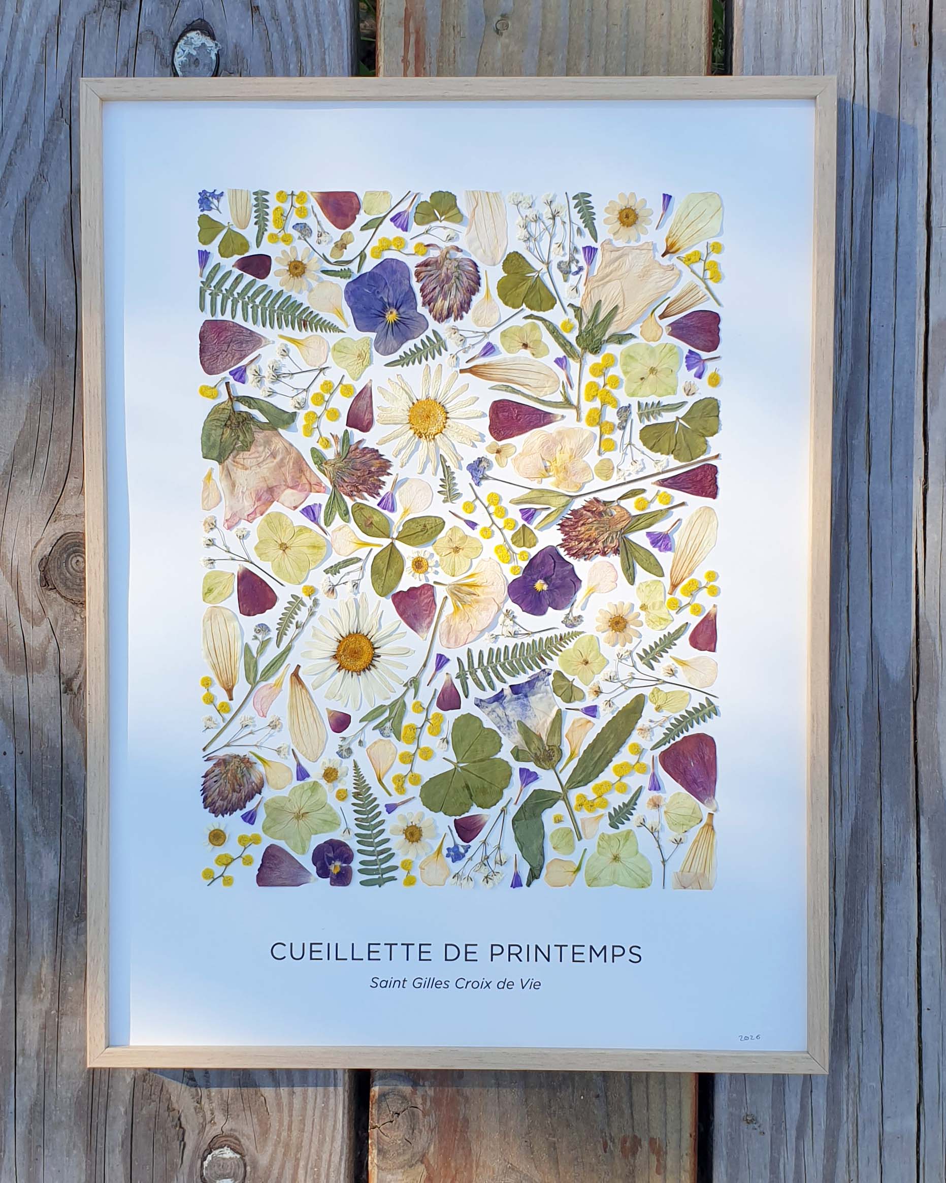 Herbier de printemps