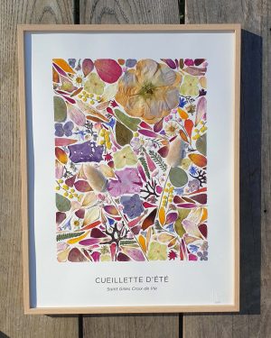 Grand tableau herbier d'été diverses fleurs et algues